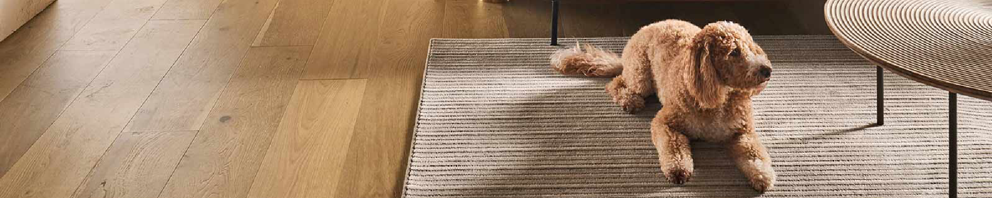 Area Rugs - Hero Image