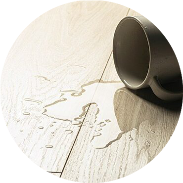 HardwoodSpill