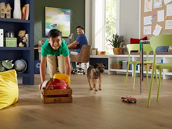 safeguarding-floors-from-pets