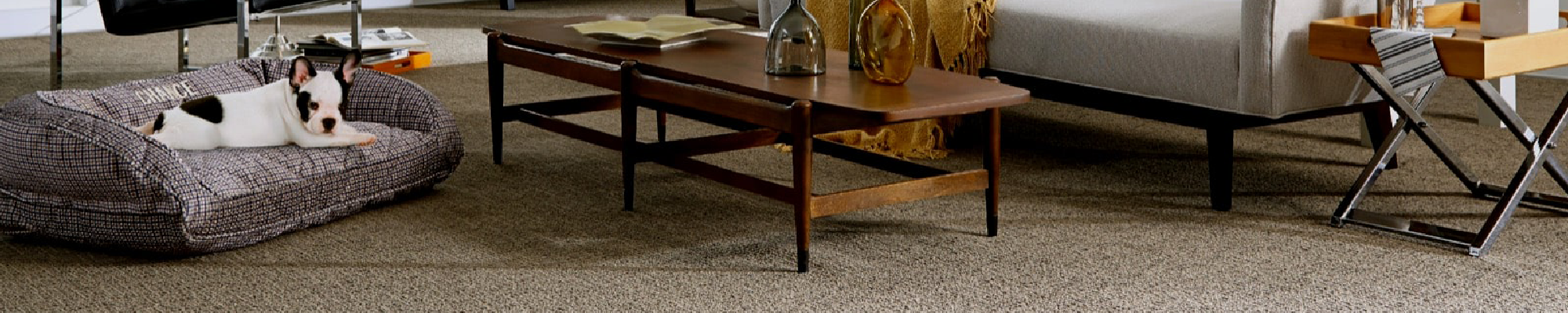 Carpet-Header-min