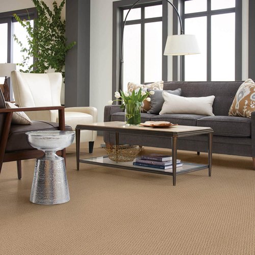 Carpet-Inspiration